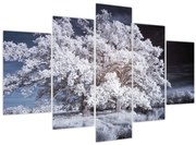 Tablou - Albă ca Zăpada Copac (150x105 cm)