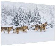 Tablou - Lupi în munți (90x60 cm)