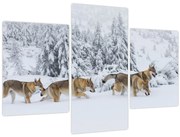 Tablou - Lupi în munți (90x60 cm)