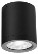 Spot LED aplicat de exterior IP54 CONYON 15W CCT SWITCH