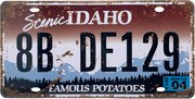 Placuta inmatriculare decorativa IDAHO, 30x15cm, Metal