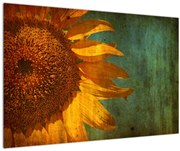 Tablou - Floarea soarelui (90x60 cm)