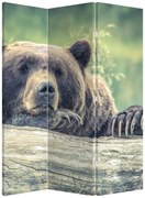 Paravan - Urs (126x170 cm)