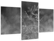 Tablou - Pajiște de țară (90x60 cm)