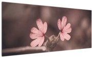 Tablou cu floare roz (120x50 cm)