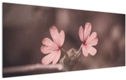Tablou cu floare roz (120x50 cm)