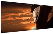 Tablou cu elefant (120x50 cm)