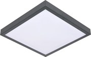 Plafonieră VITALI 2xE27/60W/230V 33x33 cm antracit