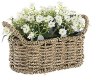 Ghiveci impletit cu  Petunia. 23.5x12.5x17h