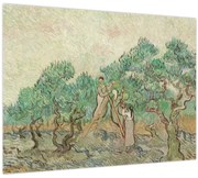 Tablou pe sticlă - Vincent van Gogh, The Olive Orchard, reproducere (70x50 cm)