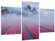 Tablou - Peisaj cu câmpuri de lalele (90x60 cm)