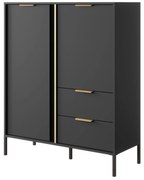 Comodă Lyran 2D2S (antracit + Auriu). 1071353