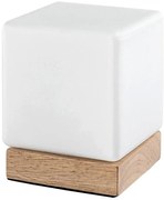 Lampă LED dimabilă de masă Rabalux 76003 PIRIT LED/1,2W/5V 3000K fag