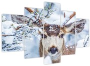 Tablou - Cerbul catâr (150x105 cm)