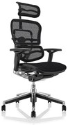 Scaun de birou - ERGOHUMAN2 PDH ULTRA BLACK FRAME W09-01+ALU BASE - precomanda 7-12 zile (Termen de livrare: 7 zile)