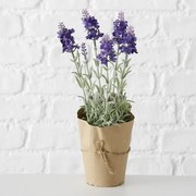 ​Ghiveci lavanda mov inchis 15/10/32 cm