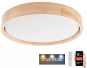 Brilagi - Plafonier MANAROLA SMART LED 24W 230V cu telecomandă Tuya