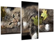 Tablou - Pisica mincinoasă (90x60 cm)
