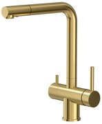 Baterie bucatarie cu dus extractibil Quadron Unique Ellen finisaj auriu