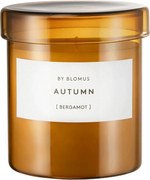 Lumânare parfumată din ceară de soia timp de ardere 45 h Valoa Autumn – Blomus