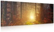 Tablou lumina în pădure