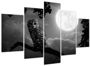 Tablou - Bufniță de noapte, alb și negru (150x105 cm)