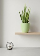 Ghiveci HOME Verde Lime (Diametru 13cm Inaltime 14cm) masca ceramica flori