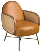 Fotoliu design LUX, Ratan, Piele Naturala 5162