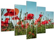 Tablou - Pe câmpul cu maci (150x105 cm)