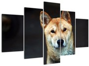 Tablou cu câine (150x105 cm)