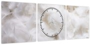 Tablou - Pene albe (cu ceas) (90x30 cm)