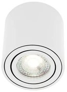 Corp de iluminat aplicat cu spot directionabil Sabonis alb