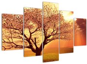 Tablou cu razele lui Dumnezeu (150x105 cm)