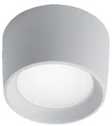 Plafoniera exterior 1 bec LED 10W IP55 LIVIA 95LIVIA160/WH
