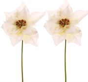 Set de Crăciunițe pe tulpină, 2 bucăți,crem, 32 cm