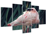 Tablou - Pasărea Flamengo (150x105 cm)