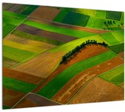 Tablou - Lan, luncile (70x50 cm)