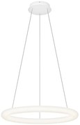 Top Light -LED Lustră reglabilă pe cablu RINGO LED/40W/230V 3000-6500K albă+telecomandă