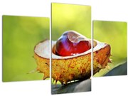 Tablou cu castani (90x60 cm)