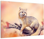 Tablou - Vulpea (70x50 cm)