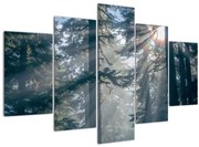 Tablou cu copaci și soarele translucind (150x105 cm)