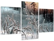 Tablou - Pajiște înghețată (90x60 cm)