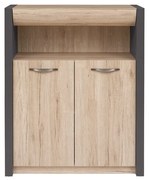 Dulap Executive REG2D1S/11/9 (gri wolfram + Stejar san remo deschis). 798579
