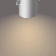 Philips 50662/14/P0 - Spot LED BYRE 2x4,3W/230V 2200/2500/2700K