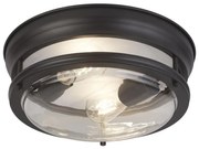 Plafoniera pentru baie IP44 Glasgow 2L