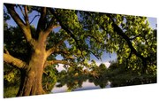 Tablou pe pânză K010368K12050 (120x50 cm), în 40 de alte dimensiuni noi