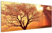 Tablou cu razele lui Dumnezeu (120x50 cm)