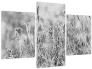 Tablou - Iarna rece (90x60 cm)