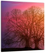 Tabloul pomilor în ceață (30x30 cm)
