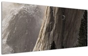 Tablou  din valea Yosemite parcul național, SUA (120x50 cm), în 40 de alte dimensiuni noi